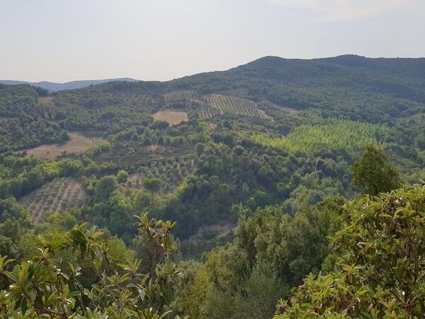 colline